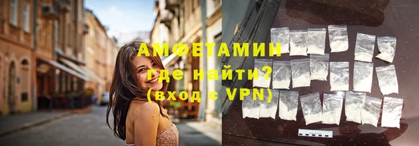 прущие грибы Балахна