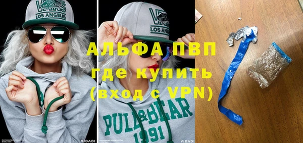 прущие грибы Балахна