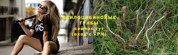 прущие грибы Балахна