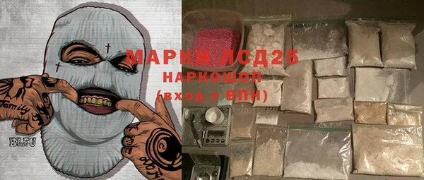 прущие грибы Балахна