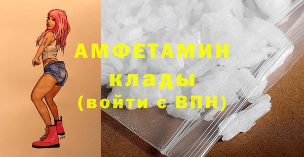 прущие грибы Балахна