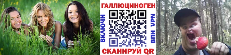 Псилоцибиновые грибы прущие грибы Валдай